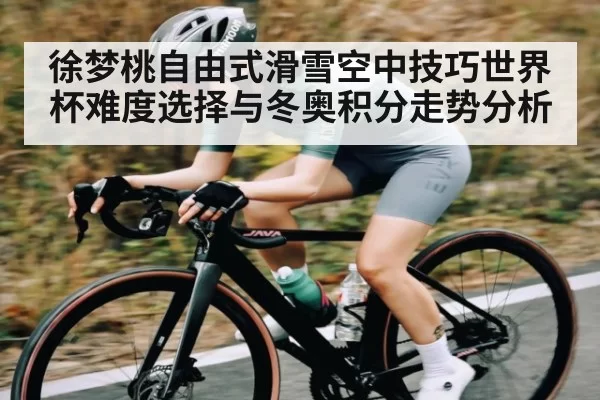 徐梦桃自由式滑雪空中技巧世界杯难度选择与冬奥积分走势分析